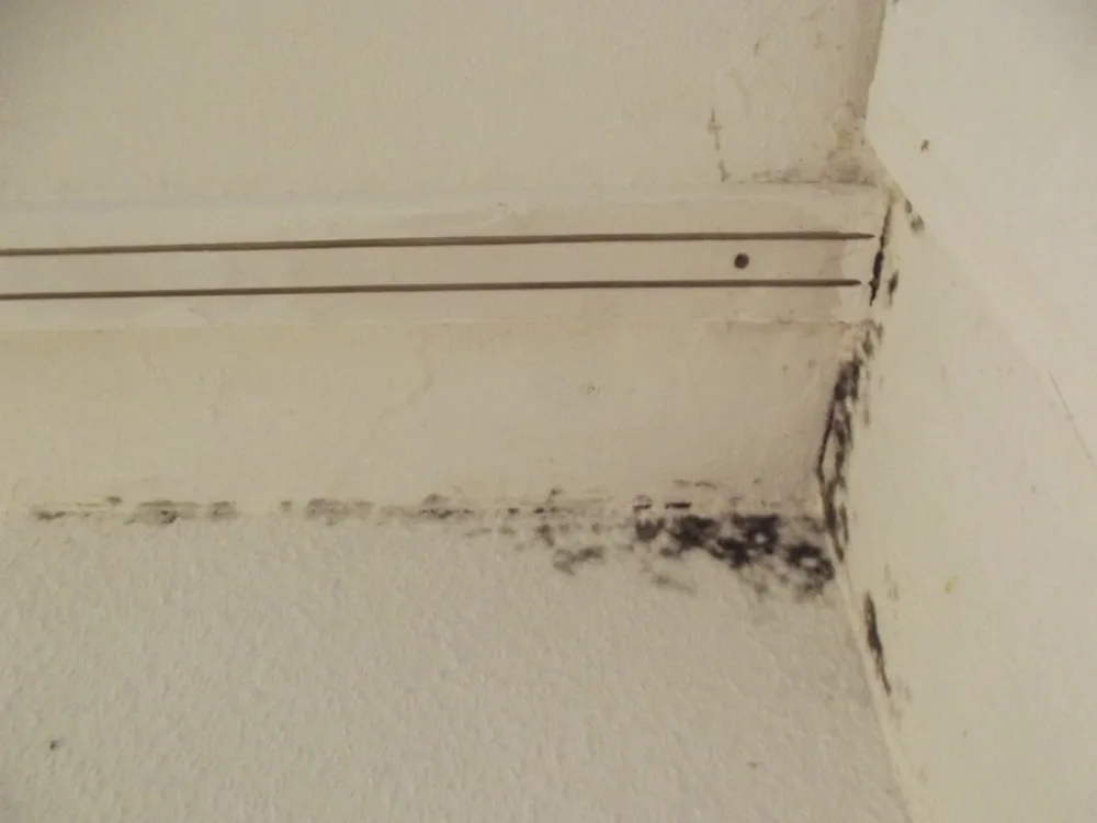 Technician in protective gear removing a mold-damaged wall in a Sanibel home